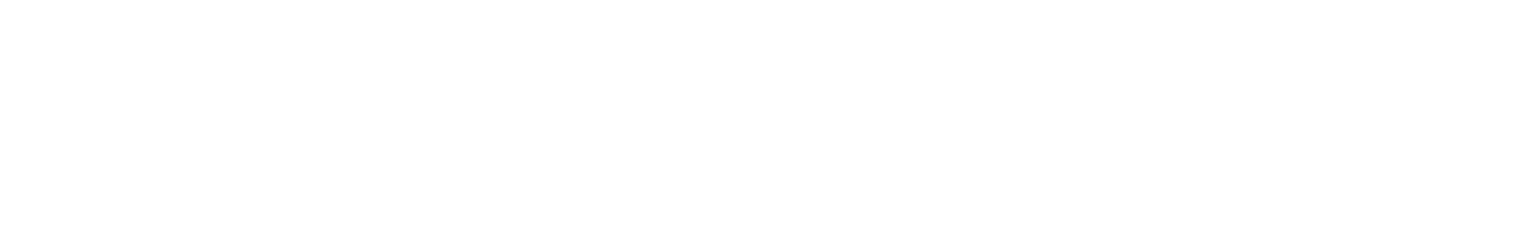 Sky Guard